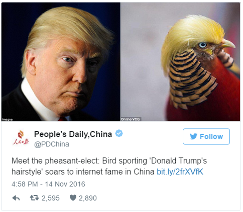 Donald Trump Pheasant